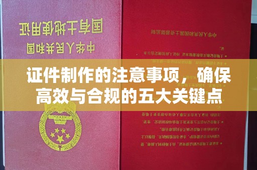 应城证件制作的注意事项，确保高效与合规的五大关键点